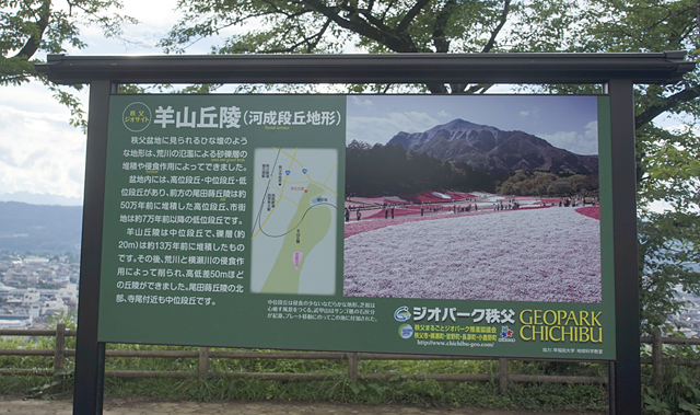 聖地巡礼 あの花 4 聖地巡り秩父市街地編 定林寺 羊山公園 秩父神社など舞台となった風景を切り取ってきました ネタとぴ