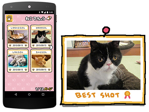 本日限定 ねこあつめ の世界をリアルで ゲームと同じ部屋を再現し ねこが集まる様子をyoutubeで中継 ネタとぴ