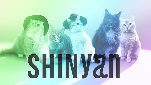 世界初!? 猫5匹グループ「SHINyan」のデビュー曲が配信開始～猫が 