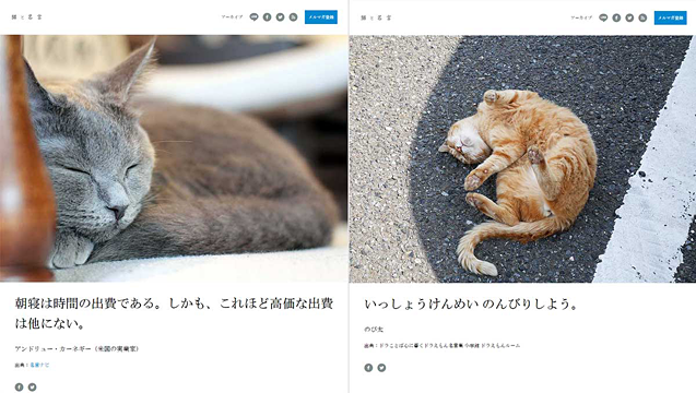 猫の写真と名言を毎日配信する 猫と名言 6月1日 水 サービス開始 利用は無料 ネタとぴ