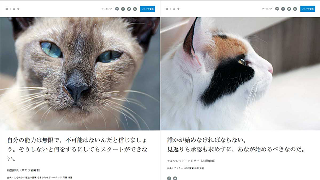 猫の写真と名言を毎日配信する 猫と名言 6月1日 水 サービス開始 利用は無料 ネタとぴ