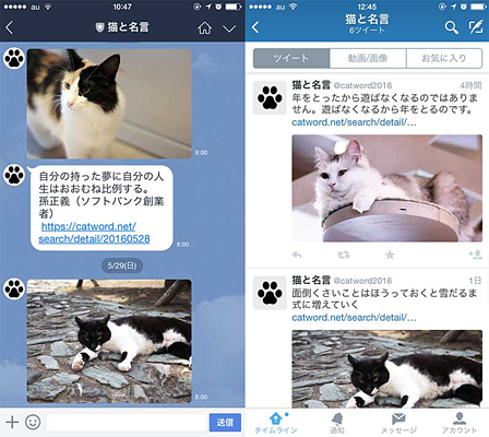 猫の写真と名言を毎日配信する 猫と名言 6月1日 水 サービス開始 利用は無料 ネタとぴ