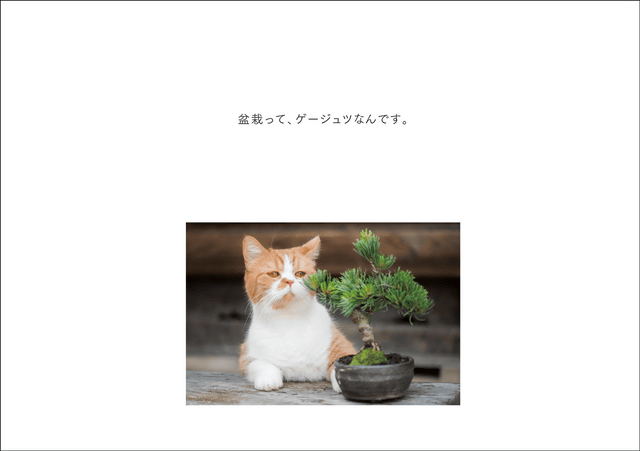 Y Mobileのcmで人気のふてニャンのセカンド写真集 ふてやすみ が本日19日 金 発売 休日をのんびり過ごすふてニャンに完全密着 ネタとぴ