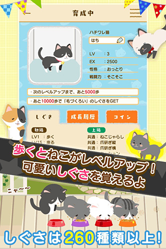 無料の歩数計付きねこ育成ゲームアプリ にゃん歩計 東大や筑波大と連携して 科学的根拠に基づくヘルスケア機能を導入 ネタとぴ