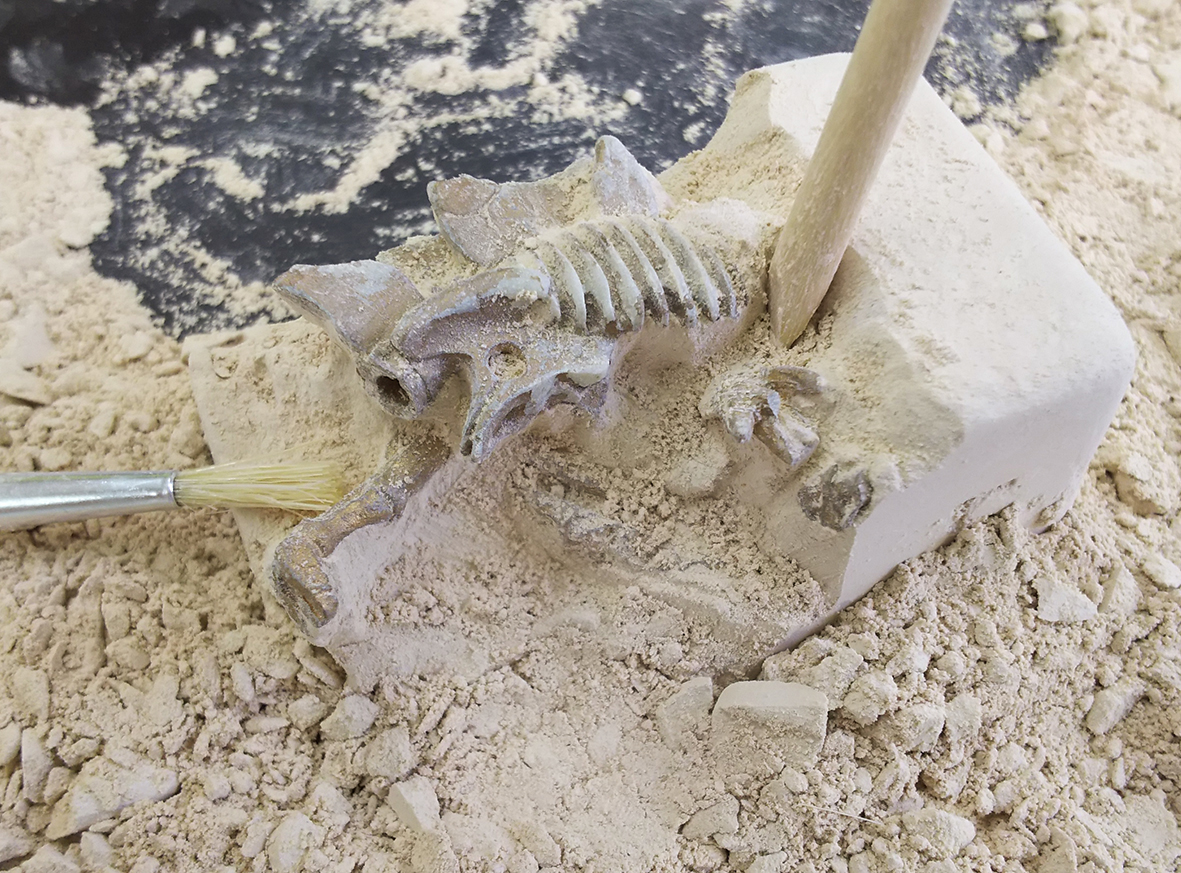 発掘体験では、ハケやノミ、ハンマーなどの道具を使って恐竜の骨格を発掘。組み立てると、恐竜の全身模型が完成します。参加費は無料