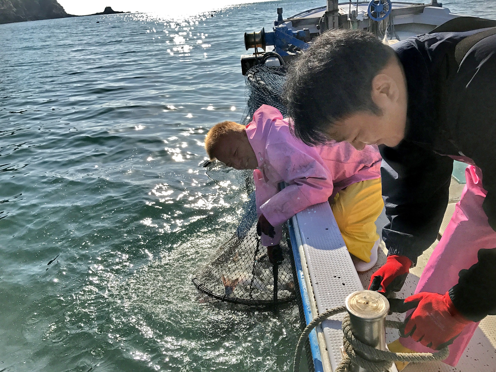 愛媛県・魚島での定置網漁の様子