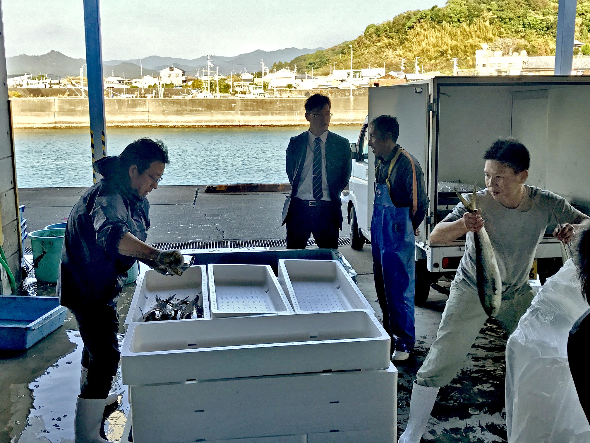 高知県・手結漁港での「マヒマヒ」の仕入れの様子