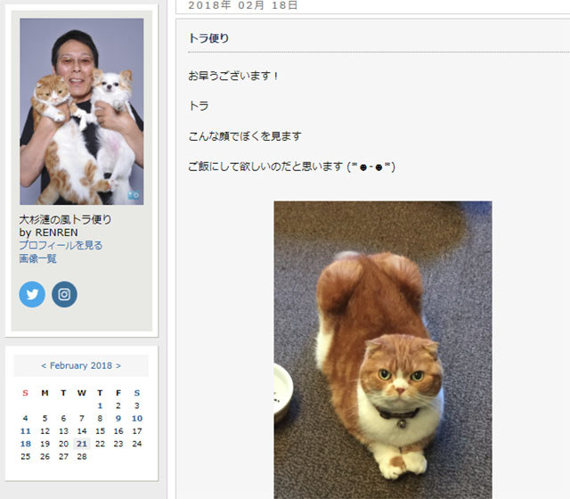 俳優の大杉漣さんが急性心不全で死去 2月21日午前3時53分に67歳で急逝 18日にはブログに愛猫 トラ の写真を投稿 本日21日の バイプレイヤーズ は予定通り放送 ネタとぴ