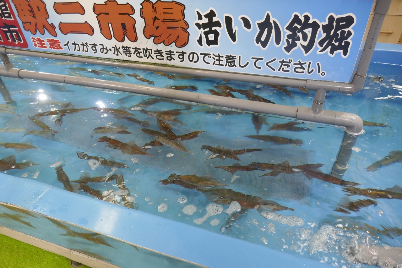 オススメは「駅二函館朝市」の中にある「活いか釣り堀」