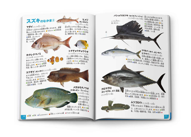 ほんのハッピーセット 第3弾は絵本 ふしぎのもり ミニ図鑑 魚 うみのさかな が本日19日 金 発売 ネタとぴ