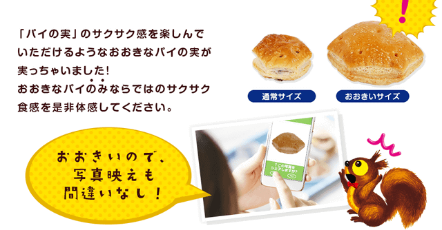 チョコ抜きで パイのみ 史上初のチョコが入っていない素パイの実 おおきなパイのみ が3 000箱限定販売 カレーやシチューに入れたり おはぎ風にしても ネタとぴ