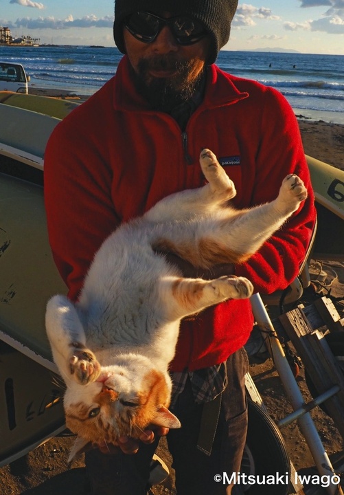 キイロちゃんと相棒の漁師さん。岩合さんの写真からは、猫と人との関係性が伝わってきます