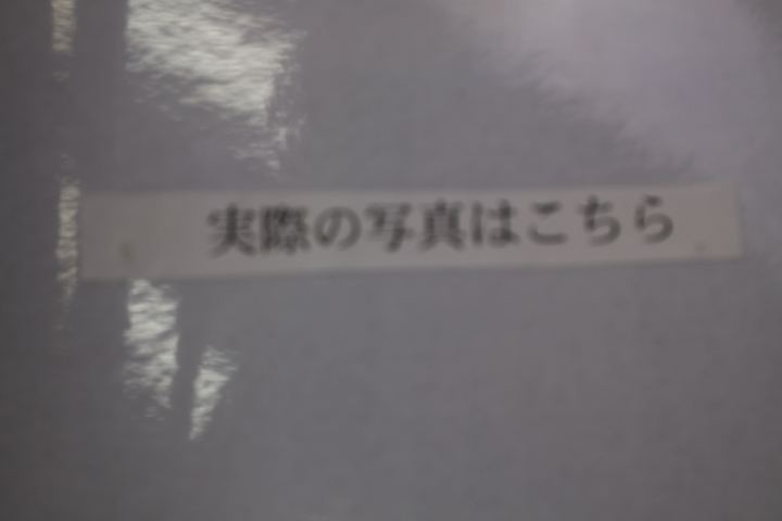 実際の遺書の画像も展示