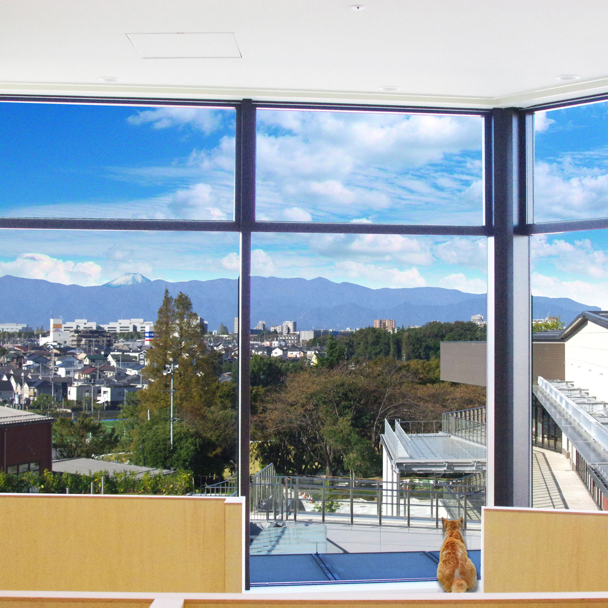 晴れた日には、大きな窓から富士山が見える店内