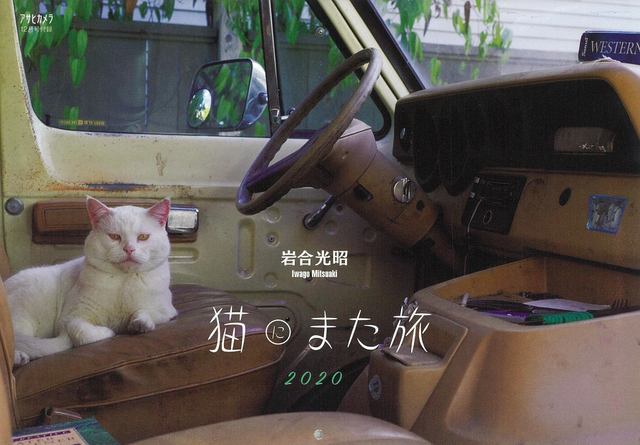 今年も 岩合光昭カレンダー 猫にまた旅 が特別付録 アサヒカメラ12月号 が本日日 月 発売 すべて新作撮り下ろし 表紙は ネコ目線 ネタとぴ