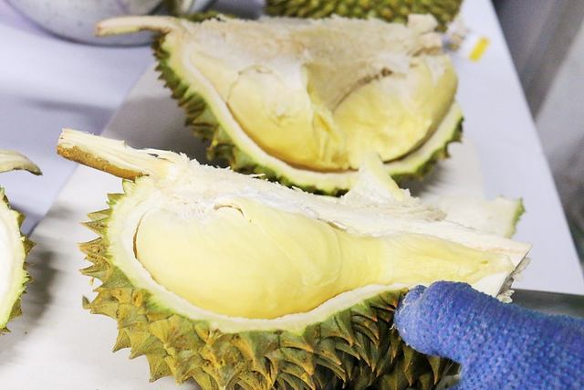 本当に飲めるよ 悪臭の先にある美味しさ ドリアン香るクラフトビールをサンクトガーレンが4月1日限定販売 発売を躊躇したのも 1度や2度ではない エイプリルフール ネタとぴ