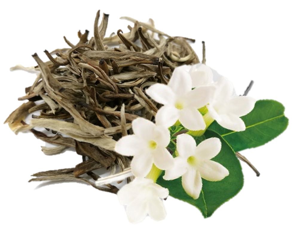 白銀色の産毛をまとった茶葉“銀毫”は 、100kgの茶葉に総量200kg以上のジャスミンの花を使って6回以上香りづけする等級の高い茶葉