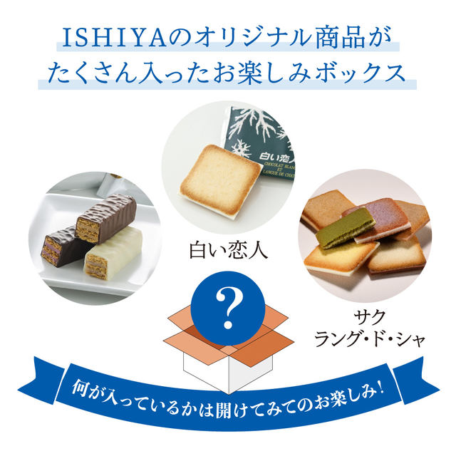 人気満点 石屋製菓 ISHIYA 美冬 12個入 20個セット 1ケース fucoa.cl