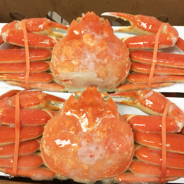 本物のずわい蟹と かにかま ほぼカニ を食べ比べ カネテツが 食べ比べセット を本日18日 水 限定販売 先着でカニ感がアップする ほぼカニアプリケーター も ネタとぴ