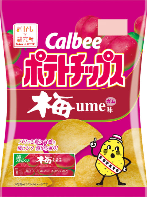 あの板ガムの味がポテチに カルビー ロッテ ポテトチップス ブルーベリーガム味 梅ガム味 が本日15日 月 からドンキとユニーで数量限定発売 どんな味 のワクワク ドキドキを追求 ネタとぴ