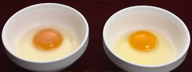 左が一般的な卵の黄身イメージ、右が今回の商品のカスタード原料に使用している卵(黄身)
