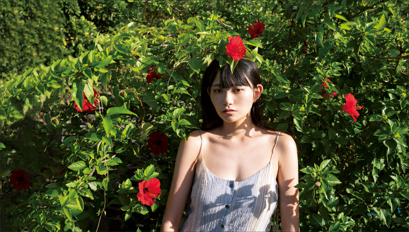 八丈島の至るところで咲く仏桑花(ハイビスカス)が作品のテーマになった