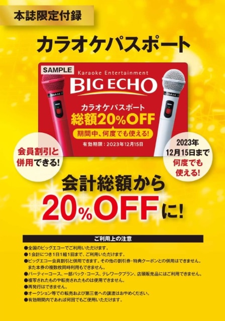 BIG ECHO 室料５０％OFF カラオケパスポート