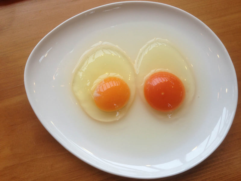 右側が岡崎おうはんの卵