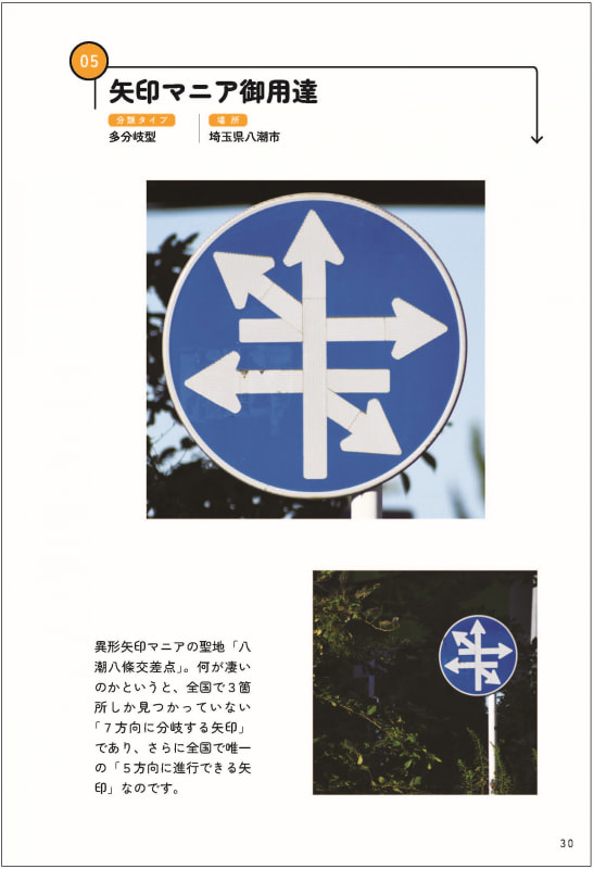 7方向に分岐し、5方向に進行できるという矢印マニア垂涎の標識