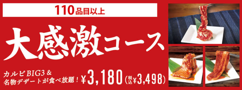 「大感激コース」3,498円(税込)