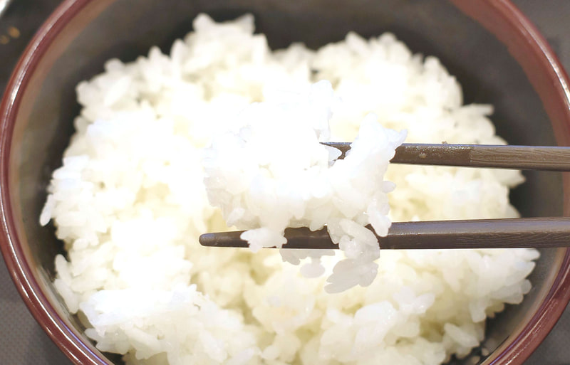 丸太ヒレかつを受けとめるご飯は固めの炊き加減！