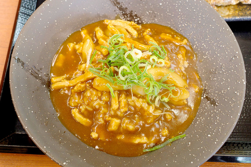 カレー南蛮丼はカレールーと具の絵力が強め！