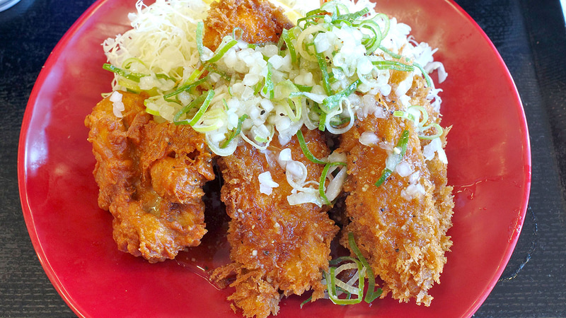 揚げ物は左から、からあげ、鶏ささみフライ、海老フライ、鮭フライが盛り付けられています