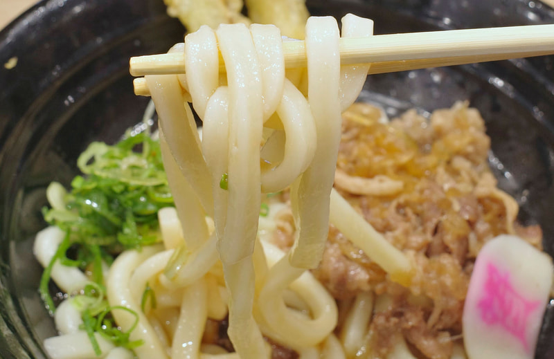 水で締めたことで弾力が増したうどんに、濃いめな味付けのつゆがマッチしてウマウマ！