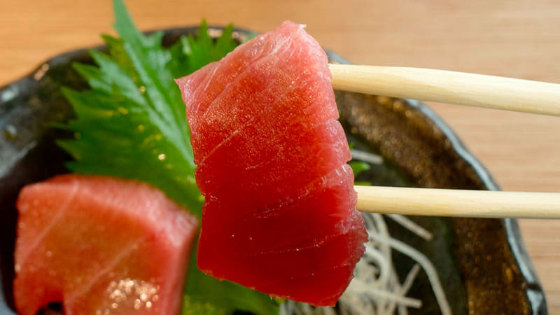 マグロの身と脂の旨味をバランス良く堪能するならインドマグロ中トロ！