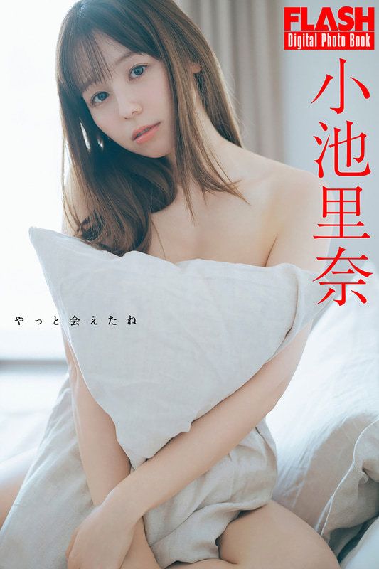 FLASHデジタル写真集「やっと会えたね」