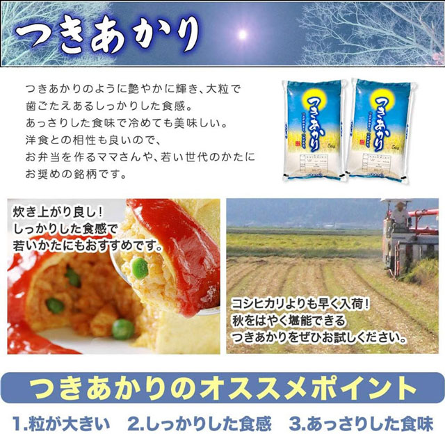 「つきあかり」の特徴