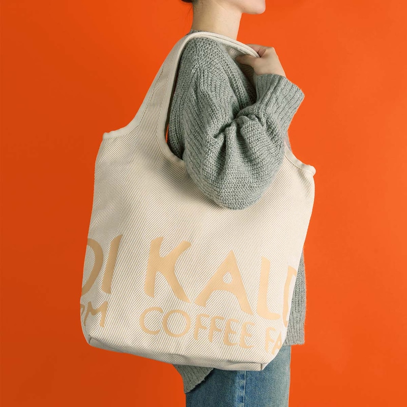 食品福袋 バッグを持ったイメージ