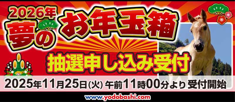<a href="https://limited.yodobashi.com/entry/shared/">「2026年 夢のお年玉箱」</a>より