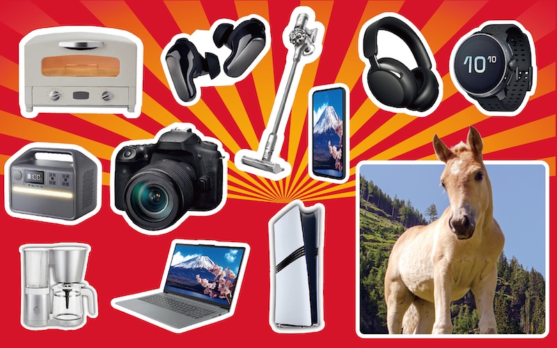 <a href="https://limited.yodobashi.com/entry/shared/">「2026年 夢のお年玉箱」</a>より