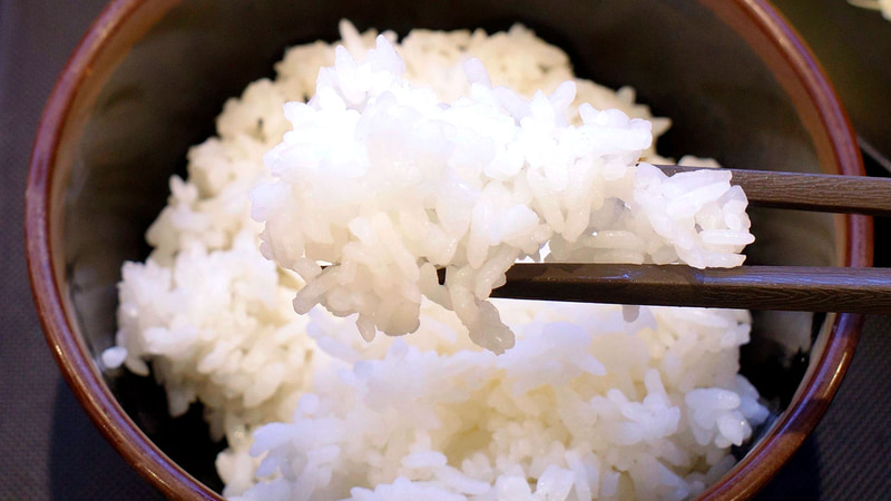 国産雪国育ち厚切りロースかつを受け止めるご飯はハリのある炊き加減!