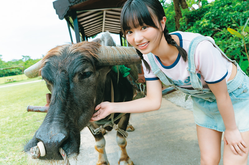 蒔埜さんからのリクエストで、水牛と触れ合い体験をエンジョイ