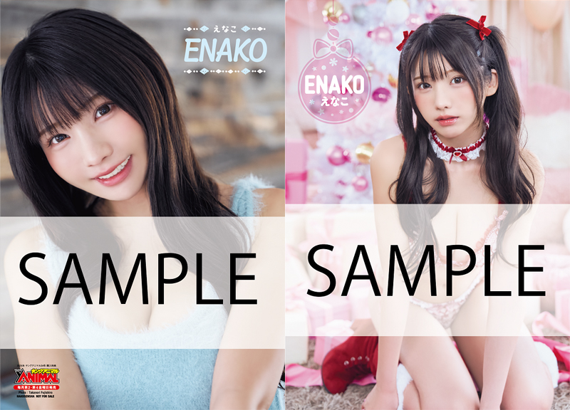 えなこ両面クリアファイル B柄