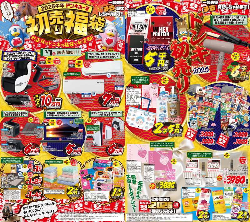 ほんの一部をチラっとチラ見せ