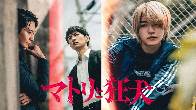 1月20日24時59分にスタートする「<a href="https://www.mbs.jp/matori-to-kyoken/">マトリと狂犬</a>」公式サイトより