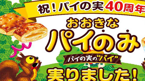 チョコ抜きで パイのみ 史上初のチョコが入っていない素パイの実 おおきなパイのみ が3 000箱限定販売 カレーやシチューに入れたり おはぎ風にしても ネタとぴ
