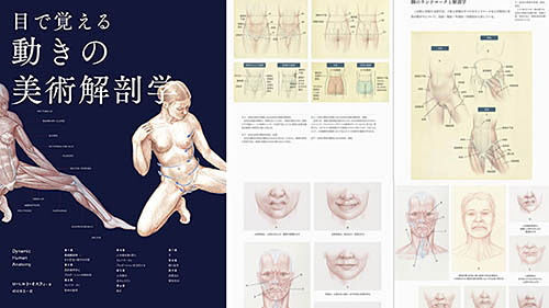 人体の“動きのしくみ”を実践形式で丁寧に学べる! 「目で覚える 動きの